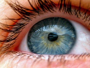 Estudo derruba teoria de que é possível detectar mentira com movimentos oculares