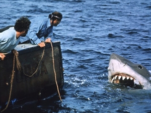 Festival do filme “Tubarão” lota ilha nos EUA