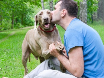 Cérebros humano e canino têm a mesma reação a vozes