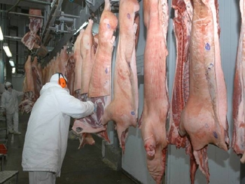 Exportação De Carne Suína Brasileira É Afetada Pelo Cenário De Crise Na Ucrânia
