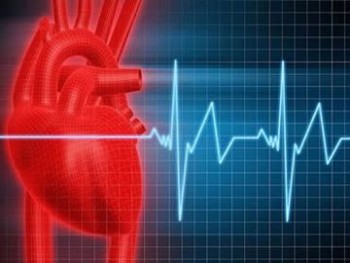 Membrana artificial pode prevenir ataques cardíacos e arritmias